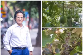Bên trong khu vườn xanh mướt, sai trĩu quả của danh ca Chế Linh
