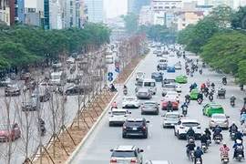 Video: Hà Nội sắp có hàng cây phong lá đỏ?