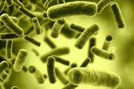 Loại thực phẩm đóng hộp nào dễ nhiễm botulinum? 