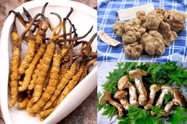 Cận cảnh 3 loại nấm chỉ nhà giàu mới có tiền mua thưởng thức