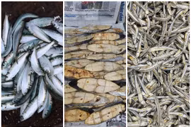 3 loại cá “tốt hơn cá hồi” bán đầy chợ Việt 