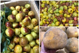 Bất ngờ 3 loại quả nhìn như dập thối nhưng giá "chát"