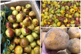 Bất ngờ 3 loại quả nhìn như dập thối nhưng giá "chát"