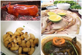 Nhà giàu Việt xưa thưởng thức món ăn xa xỉ nào?