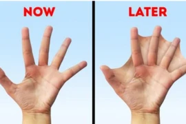 Con người sẽ tiến hóa thế nào trong tương lai? 