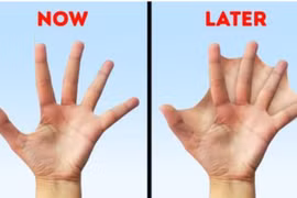 Con người sẽ tiến hóa thế nào trong tương lai? 