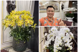 Mê mẩn với căn nhà ngập tràn lan đón Tết của NSND Tự Long