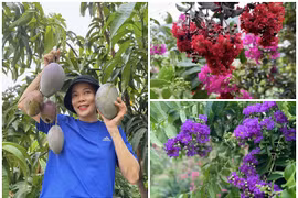 Xuýt xoa khu vườn ngập hoa thơm trái ngọt 10.000m2 của Mỹ Lệ 