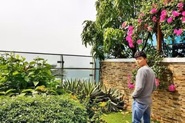 Bên trong biệt thự rợp bóng cây xanh của Nathan Lee