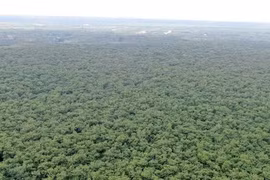 Cận cảnh khu đất hơn 1,8 nghìn ha đang thu hồi làm sân bay Long Thành