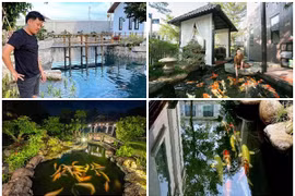Hồ cá Koi bạc tỷ trong biệt thự đi mỏi chân của sao Việt