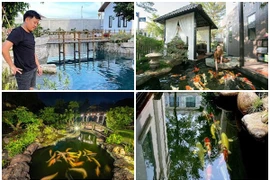 Hồ cá Koi bạc tỷ trong biệt thự đi mỏi chân của sao Việt