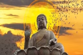 Nghe Phật dạy: Một lần tha thứ là một lần ích phúc