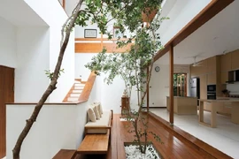 Mặt trái của thiết kế giếng trời gia chủ cần lường trước