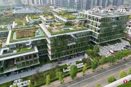 Thiết kế toà nhà tiết kiệm hơn 5 tỷ tiền điện mỗi năm 