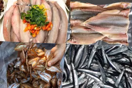 4 loại cá “nhà nghèo” đổi đời thành đặc sản “hốt bạc"