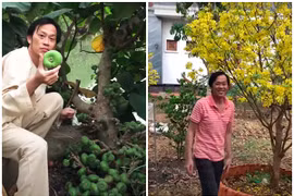 Mướt mắt vườn cây sai trĩu quả trong nhà thờ Tổ của Hoài Linh