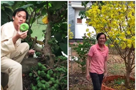 Mướt mắt vườn cây sai trĩu quả trong nhà thờ Tổ của Hoài Linh