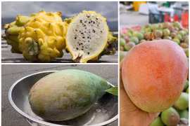 Những loại trái cây độc lạ từng làm mưa làm gió nay rớt giá "thảm"