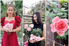 Mãn nhãn vườn hồng đắt giá trong nhà mỹ nhân Việt