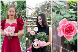 Mãn nhãn vườn hồng đắt giá trong nhà mỹ nhân Việt