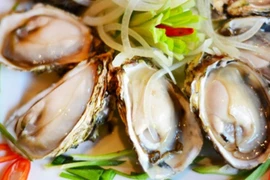 Chị em phát sốt với hàu sữa Hàn Quốc nhập khẩu