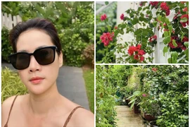 Cận cảnh khu vườn ngập hoa lá đẹp mộng mơ của Thân Thúy Hà