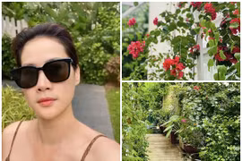 Cận cảnh khu vườn ngập hoa lá đẹp mộng mơ của Thân Thúy Hà