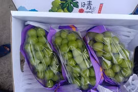 Nho sữa nội địa Trung Quốc “loạn giá”, bán tràn lan chợ mạng