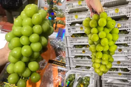 Ngã ngửa sự thật đằng sau nho sữa bán đầy chợ giá chỉ từ 99.000 đồng/kg