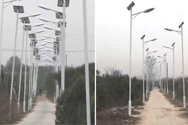 Dân làng tham lam dựng cả nghìn cột đèn cao áp trên con đường 3km để lấy tiền đền bù