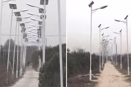 Dân làng tham lam dựng cả nghìn cột đèn cao áp trên con đường 3km để lấy tiền đền bù