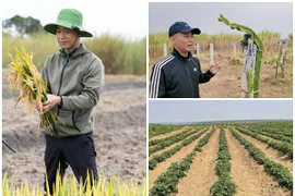 Toàn cảnh trang trại 14ha của Quang Linh Vlogs tại Châu Phi