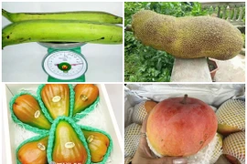 5 loại quả khổng lồ “làm mưa làm gió” thị trường Việt 