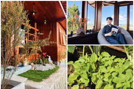 Cận cảnh nhà vườn xanh mướt của “MC giàu nhất Việt Nam“