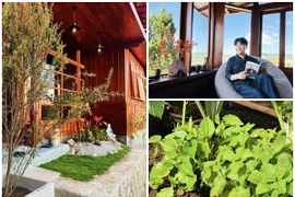 Cận cảnh nhà vườn xanh mướt của “MC giàu nhất Việt Nam“