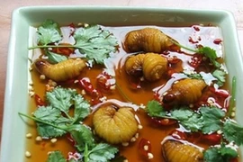 Những loại sâu bọ 'độc nhất vô nhị' đắt đỏ, thực khách săn lùng 