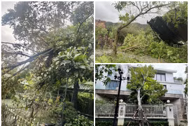 Cận cảnh khu vườn xơ xác trong nhà sao Việt sau bão Yagi