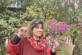 Mỏi mắt ngắm nhà vườn “thẳng cánh cò bay” của NSND Thanh Hoa