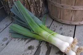 5 loại thực phẩm ăn vào giảm cân vèo vèo như Park Shin Hye 