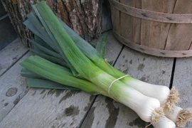 5 loại thực phẩm ăn vào giảm cân vèo vèo như Park Shin Hye 