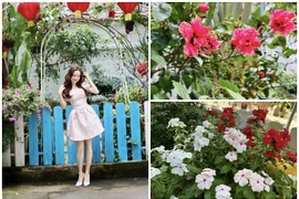 Vi Oanh sở hữu biệt thự đầy hoa trái