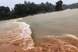 Hà Tĩnh: Thủy điện xả nước cuốn trôi cầu, dân tất tả ôm lợn, gà chạy lũ