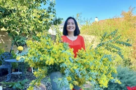 Biệt thự như resort 5 sao của Hồng Đào sau chia tay Quang Minh 