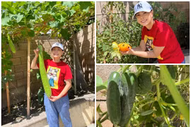 Mỏi mắt ngắm khu vườn xanh mướt trong dinh cơ của Thanh Thảo ở Mỹ