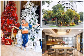 Toàn cảnh biệt thự 60 tỷ xa hoa, lộng lẫy của Đàm Vĩnh Hưng 