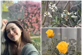 Khu vườn rực sắc xuân như tranh vẽ của Kim Hiền ở Mỹ