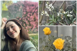 Khu vườn rực sắc xuân như tranh vẽ của Kim Hiền ở Mỹ