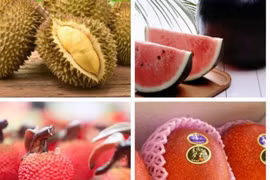 Những loại quả mùa hè đắt ngang siêu xe, chỉ nhà giàu mới dám thử