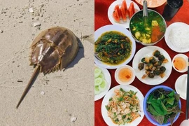 Món hải sản quý của Việt Nam không phải ai cũng từng được ăn thử